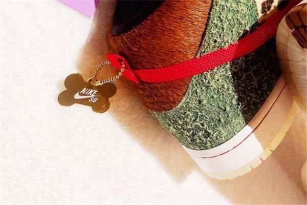 nike dunk sb遛狗配色发售时间 本周即将发售