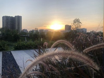 ​高干文合集：推荐100本好看的高干文（十二）