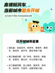 ​重启顺风车的背后，是高德难掩的“野心”