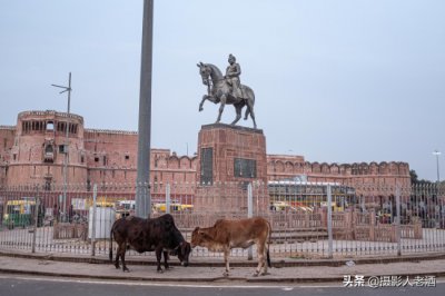 ​同样信奉印度教，为什么印度人不吃牛肉，尼泊尔人却可以吃？