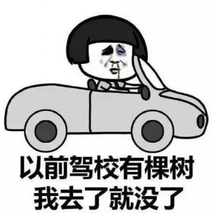​揭秘！火车驾照怎么考！