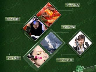 姬存希黄瓜胶多少钱？姬存希黄瓜胶价格