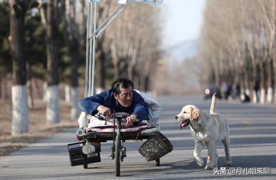 ​盘点六部有爱的狗狗电影，每一部都催人泪下