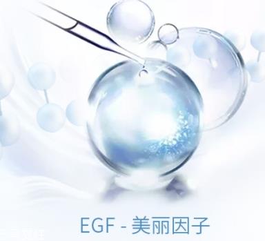 egf和玻尿酸的区别
