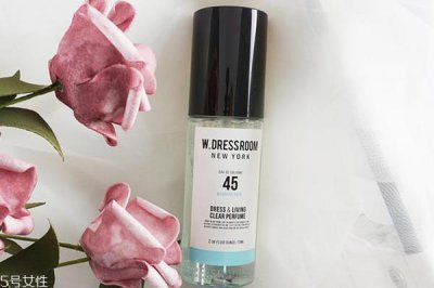 ​w.dressroom45号香水好闻吗 w.dressroom45号香评