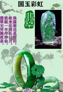 ​什么是柚子币