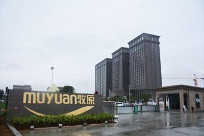 ​河南牧原暴雷？“千亿猪王”成“欠亿猪王”？欠债超过1153亿？