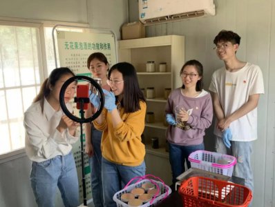 ​“85后女副县长”火了，长相好看年轻有为，个人履历不一般