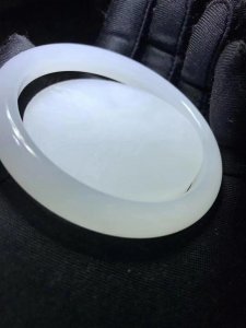 ​悠悠说硨磲之科普篇