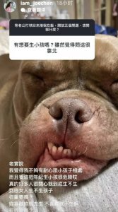 ​陈乔恩发文否认怒呛网友：就是实话实说