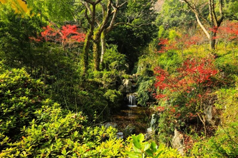 永福寺，有1600多年历史，杭州市佛教界恢复的规模最大的寺院之一