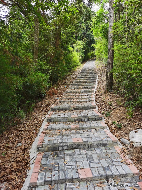 历史名山，佛教圣地，福建龙岩市永定区的南华山，曾为东南第一寺