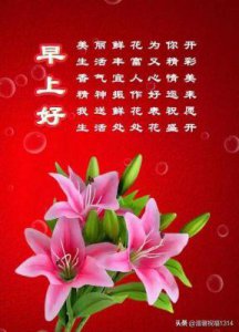 ​《小巷人家》与《好远家》：揭示真现实的都市家庭剧深度剖析