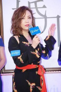 ​邓萃雯：40年演艺生涯中的爱情与人生选择解析