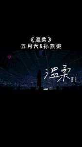 ​孙燕姿即将重返上海八万人演唱会，演出经济再度升温