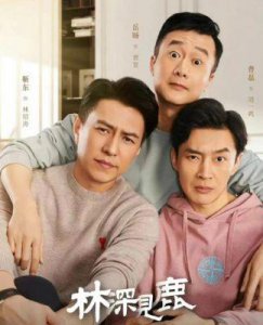 ​《林深见鹿》：简艾决绝地舍弃林绍涛，真相令人泪目，剧情反转