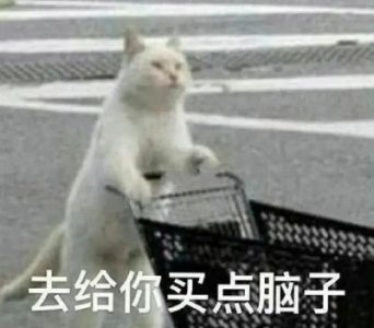 ​修狗修猫是什么梗？这个说法源自何处？