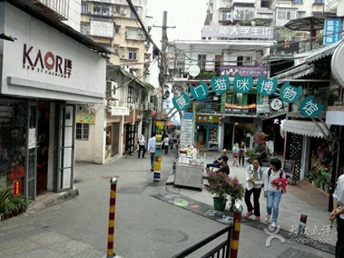 来厦门的云养猫们，千万不要错过这家猫咪博物馆哦！