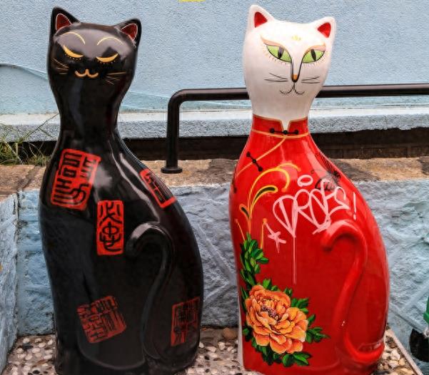 来厦门的云养猫们，千万不要错过这家猫咪博物馆哦！