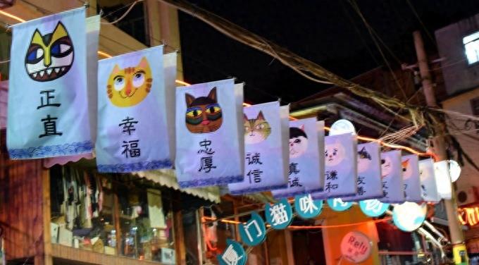 来厦门的云养猫们，千万不要错过这家猫咪博物馆哦！