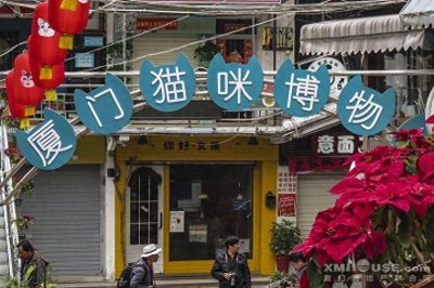 ​来厦门的云养猫们，千万不要错过这家猫咪博物馆哦！