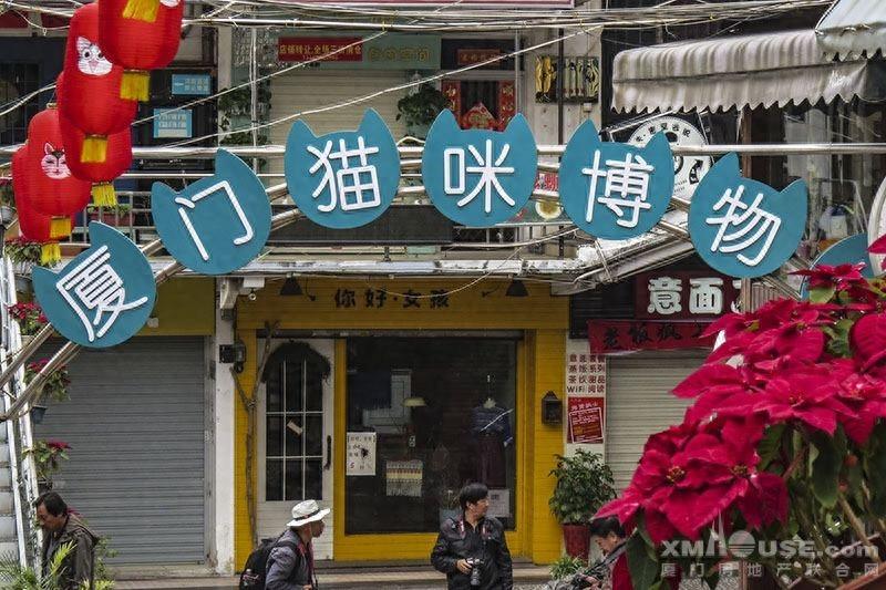 来厦门的云养猫们，千万不要错过这家猫咪博物馆哦！