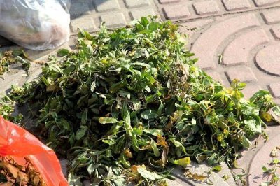 ​民俗：三月三，吃荠菜煮鸡蛋，究竟为什么要吃？总算搞明白了