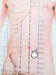 ​每日一穴——天枢穴