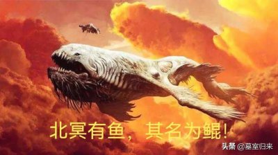 ​不灭的恐龙还是远古的鲲鹏？～～～象鸟探秘