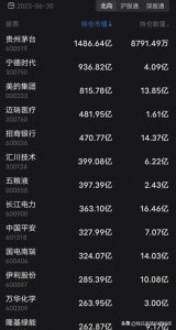 ​香港中央结算有限公司