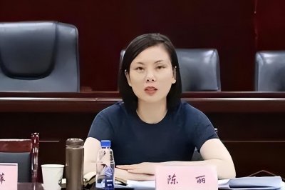 ​湖北“女干部”陈丽：从三陪女变官员，雇人杀举报者，竟只判4年