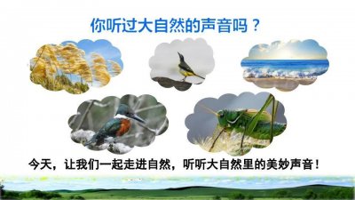 ​三年级语文上册二十一课《大自然的声音》课文笔记，预习专用