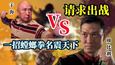 ​于海一招螳螂拳名震天下，李连杰都是他的徒弟，周比利：我来一战
