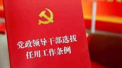 国家部委中，除了副部长外，还有哪些职务是副部级？