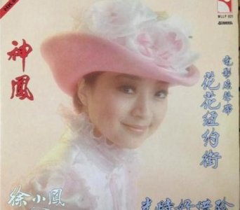 ​香港没人敢动徐小凤(徐小凤邓丽君梅艳芳谁厉害)