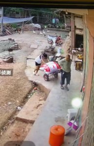 ​四川女孩帮爷爷收谷子突然一头栽倒在地，全网心疼！母亲的话道出心酸