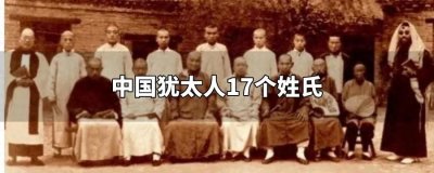 ​中国犹太人的17个姓氏有哪些？