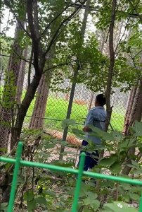 ​【趣闻】现实版一山不容二虎