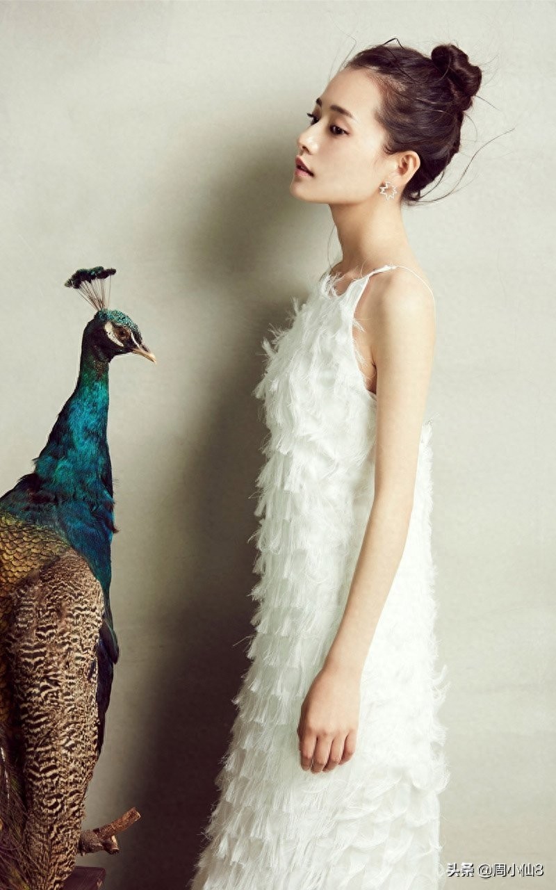 柴碧云，娱乐圈影视女演员，是具有潜力的女明星