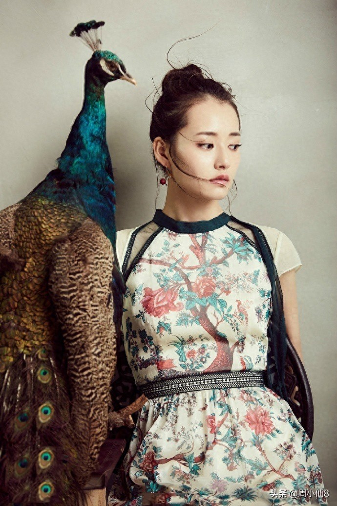 柴碧云，娱乐圈影视女演员，是具有潜力的女明星