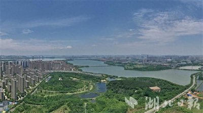 ​「江城湿地环游记」“闹中取静”藏龙岛湿地：五口塘“接力”净化“原住民”诗