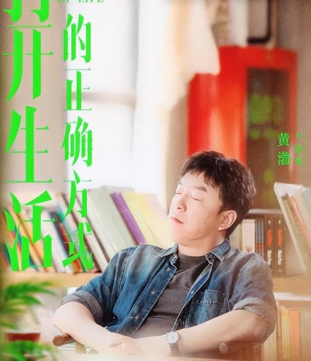 黄渤的连续剧有哪些（一部电视剧娱乐圈的）(3)