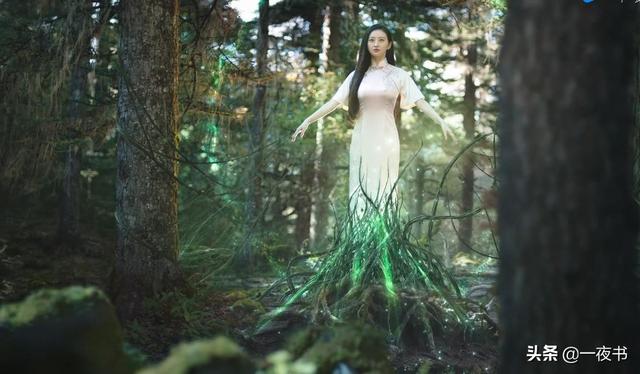 白英和司藤结局（司藤白英杀了司藤）(8)