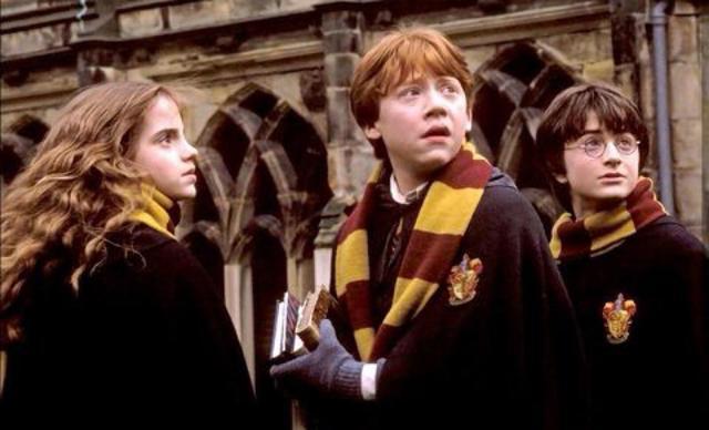 哈利波特的男主角今年多大了（哈利波特男主公布暗恋对象）(7)