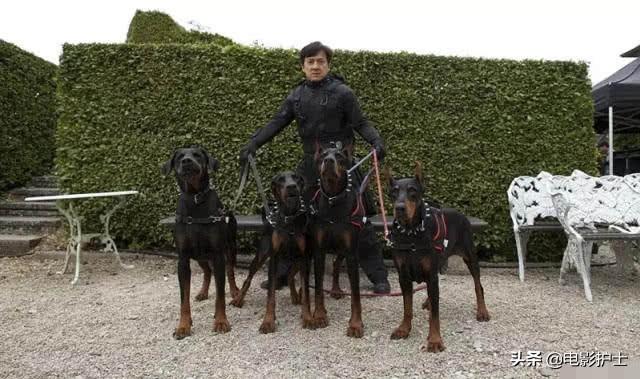 成龙十大电影票房（俄罗斯狂轰2.82亿）(1)