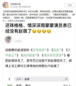 ​郑爽还当明星吗(郑爽代一孕)