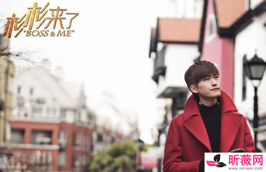 张翰的所有电影和电视剧 深受大家的喜爱