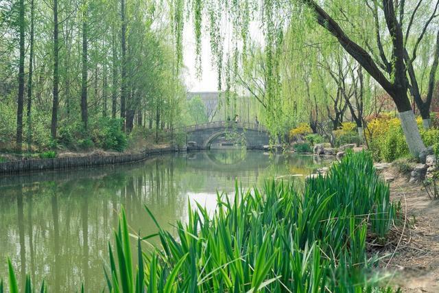 草长莺飞二月天的莺是什么意思 这首诗的名字叫什么