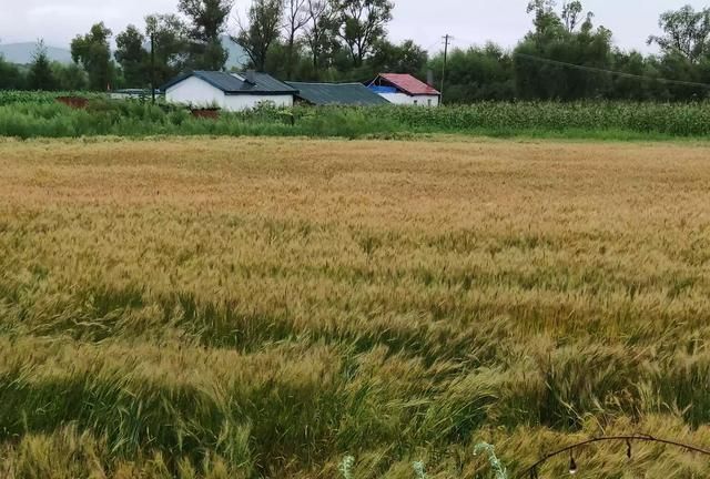 立秋后天气还热多久，立秋到了，立秋后天气还热吗？立秋后还要热多久？图1