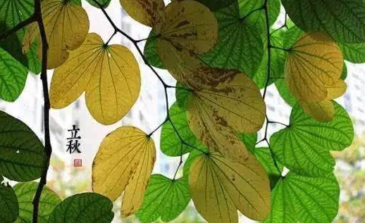 2020年立秋以后，天气还能热多长时间